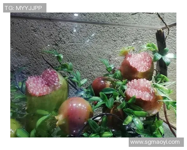 与陈娜畅谈她的足球生涯与成长历程中的挑战与收获