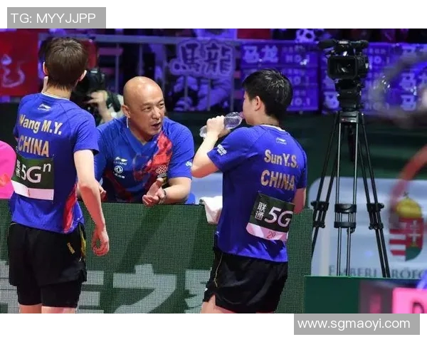 南京乒乓球队在世界锦标赛中的比赛经验与表现分析