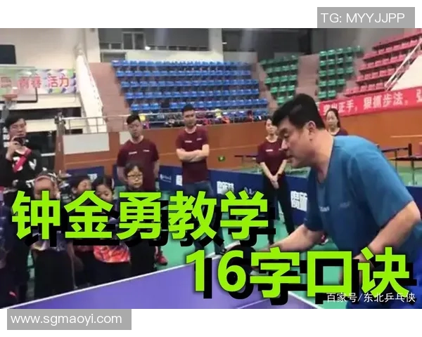 广州乒乓球队的节奏分析与发展策略探讨之旅