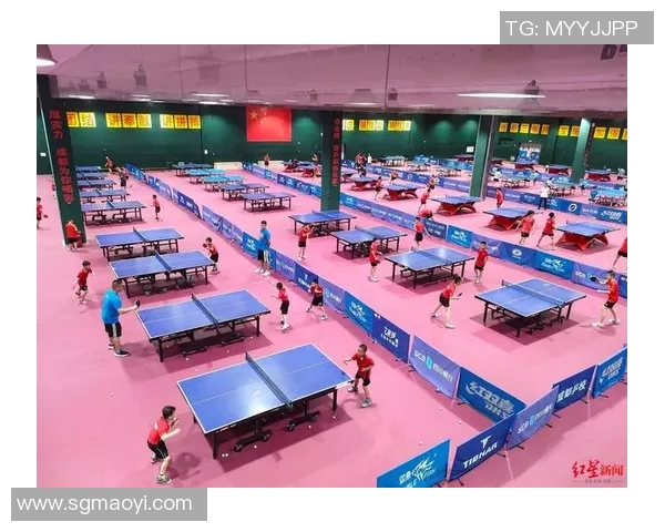 成都乒乓球队的成长历程与辉煌成就全景揭秘