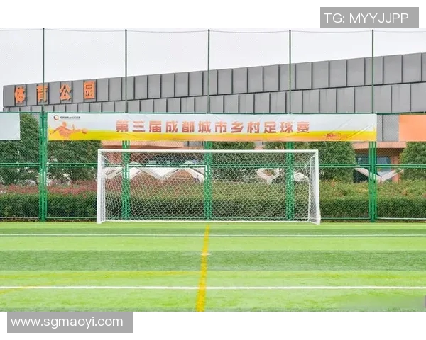 成都足球队个人能力分析：提升团队竞争力的关键因素探讨