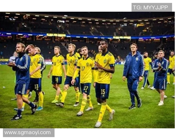 瑞典与瑞士精彩对决回放尽在优酷平台观看体验不容错过