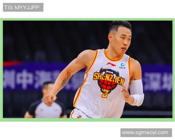 贺希宁：从篮球新星到职业生涯的辉煌旅程与挑战