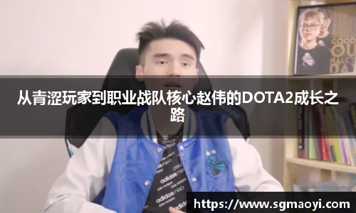 3亿体育官网