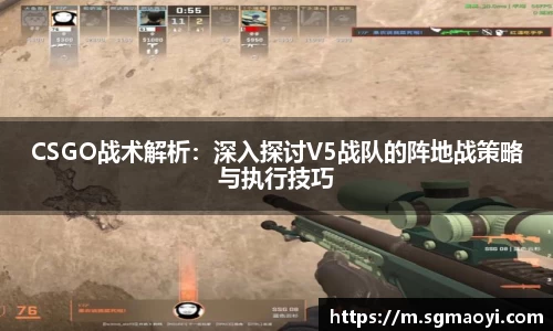 三亿体育