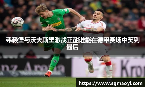弗赖堡与沃夫斯堡激战正酣谁能在德甲赛场中笑到最后