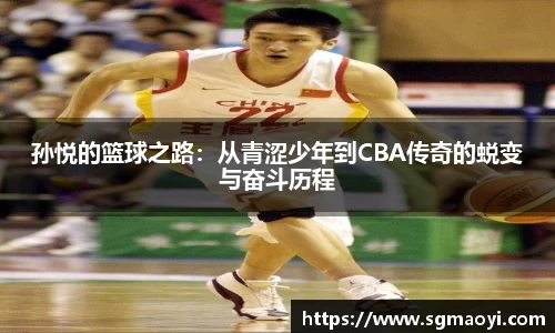 3亿体育官网