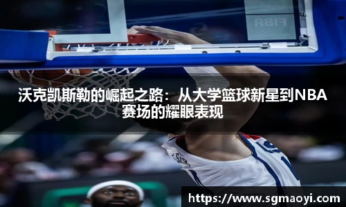 3亿体育官网