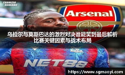 三亿体育